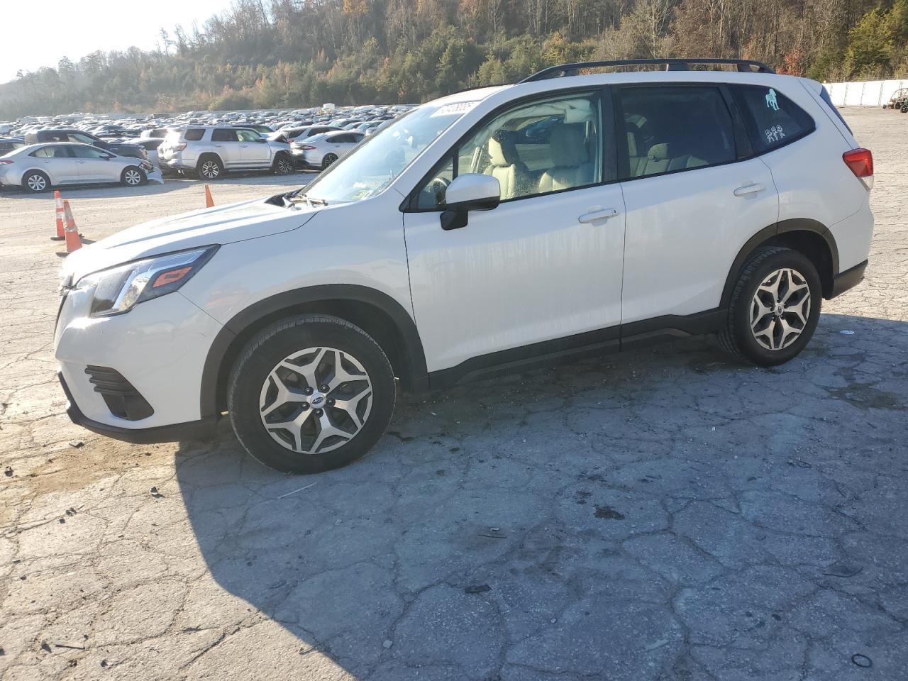 2023 SUBARU FORESTER