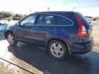 2010 HONDA CR-V