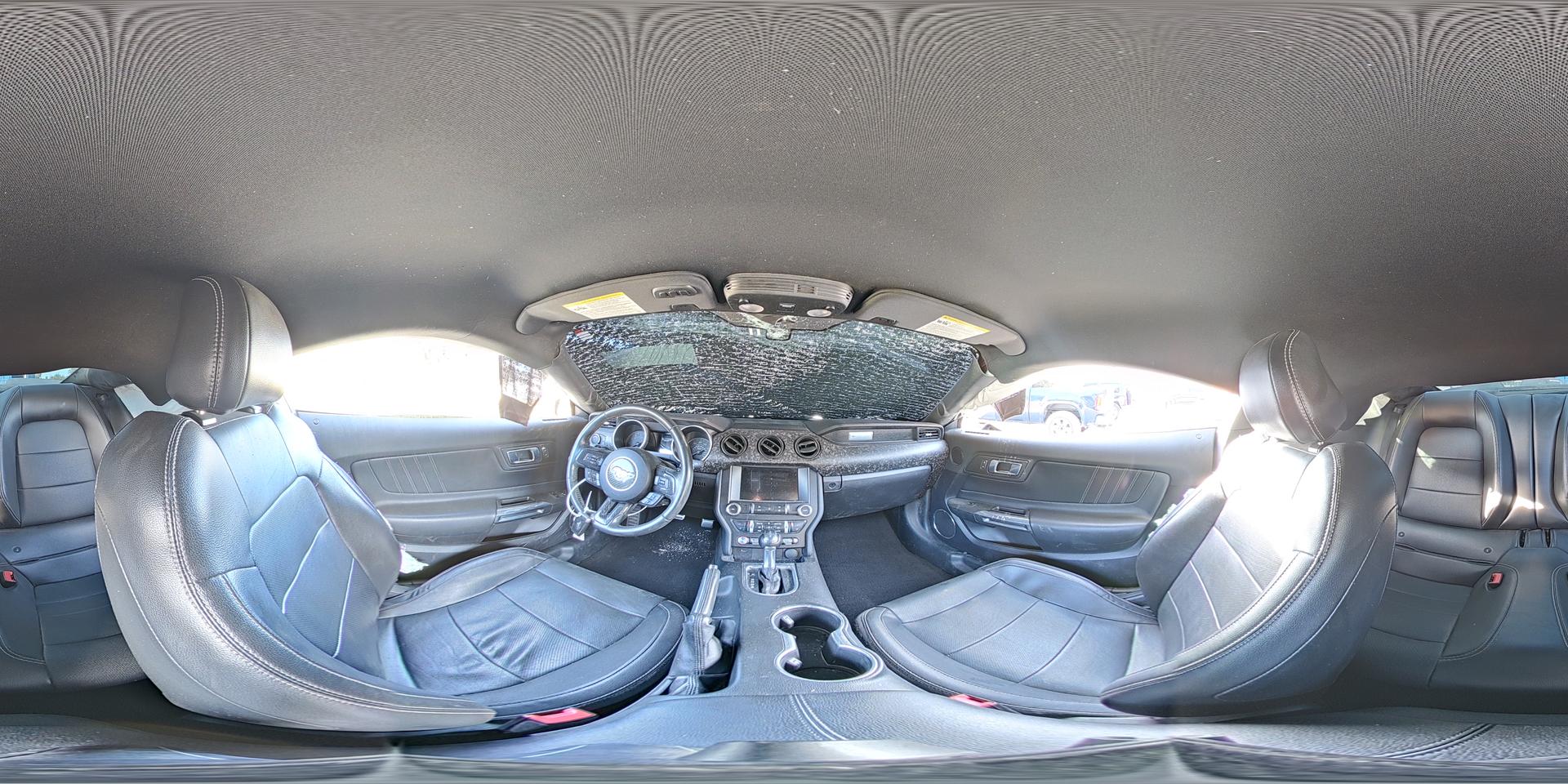 2019 FORD MUSTANG