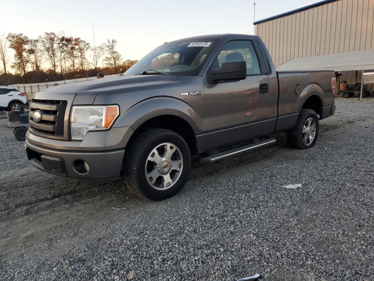 2009 FORD F-150