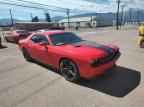 2010 DODGE Challenger