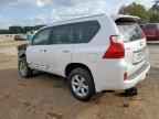 2013 LEXUS GX 460