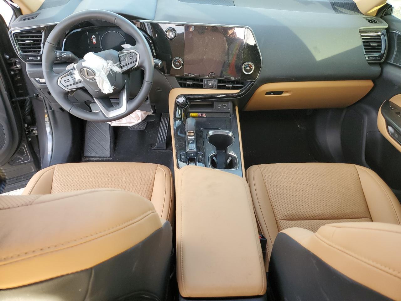 2025 LEXUS NX 250