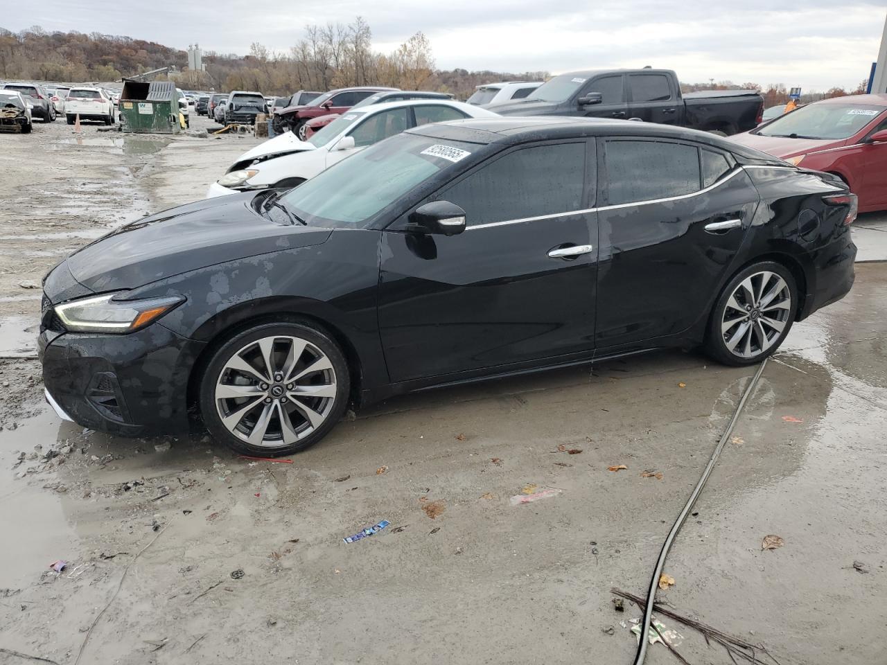 2023 NISSAN Maxima
