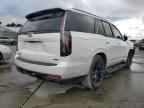 2023 CADILLAC ESCALADE