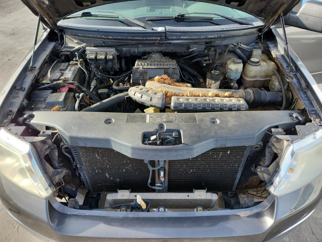 2005 FORD F-150