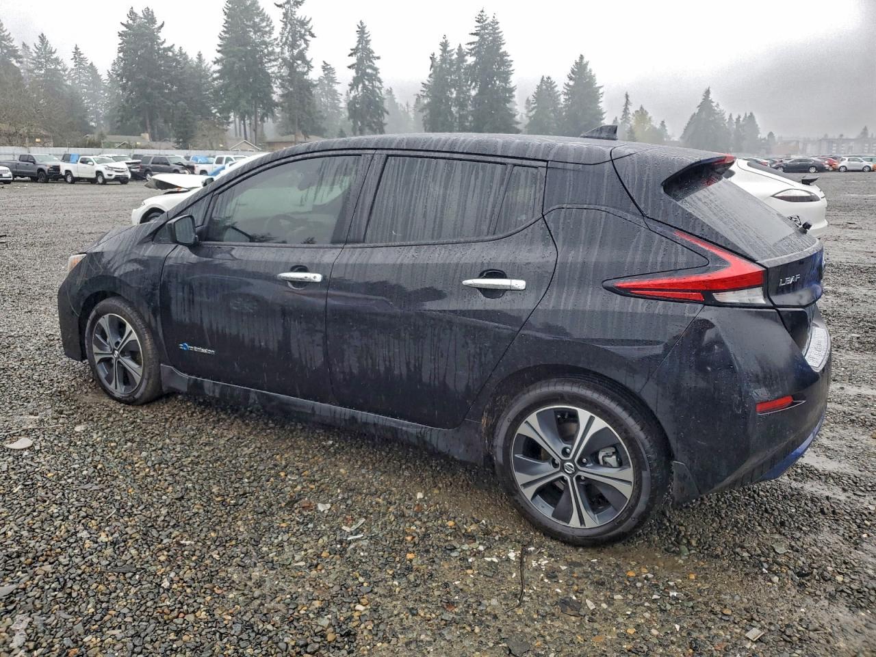 2019 NISSAN LEAF