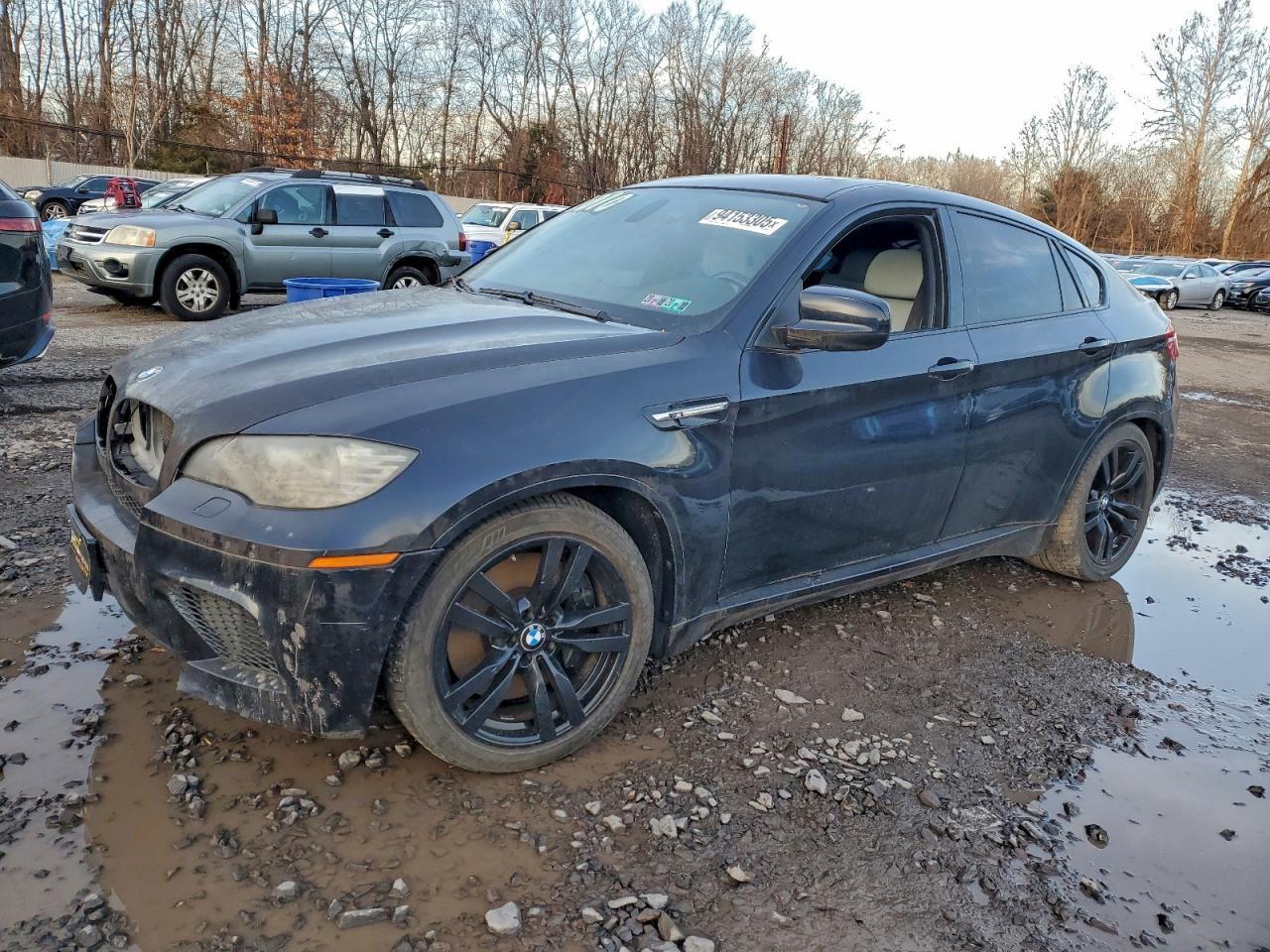 2010 BMW X6
