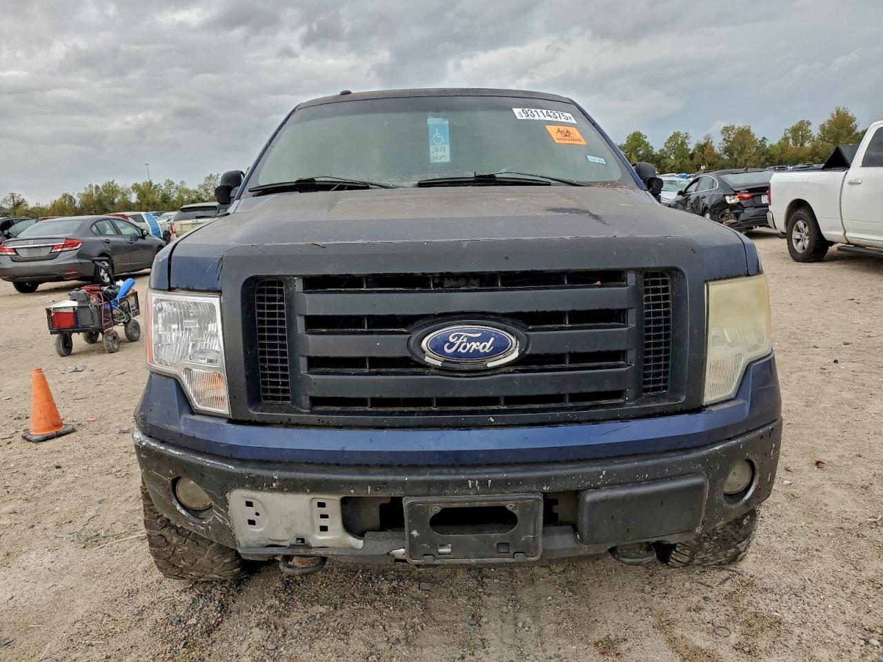 2010 FORD F-150