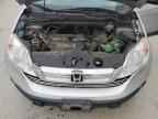2009 HONDA CR-V