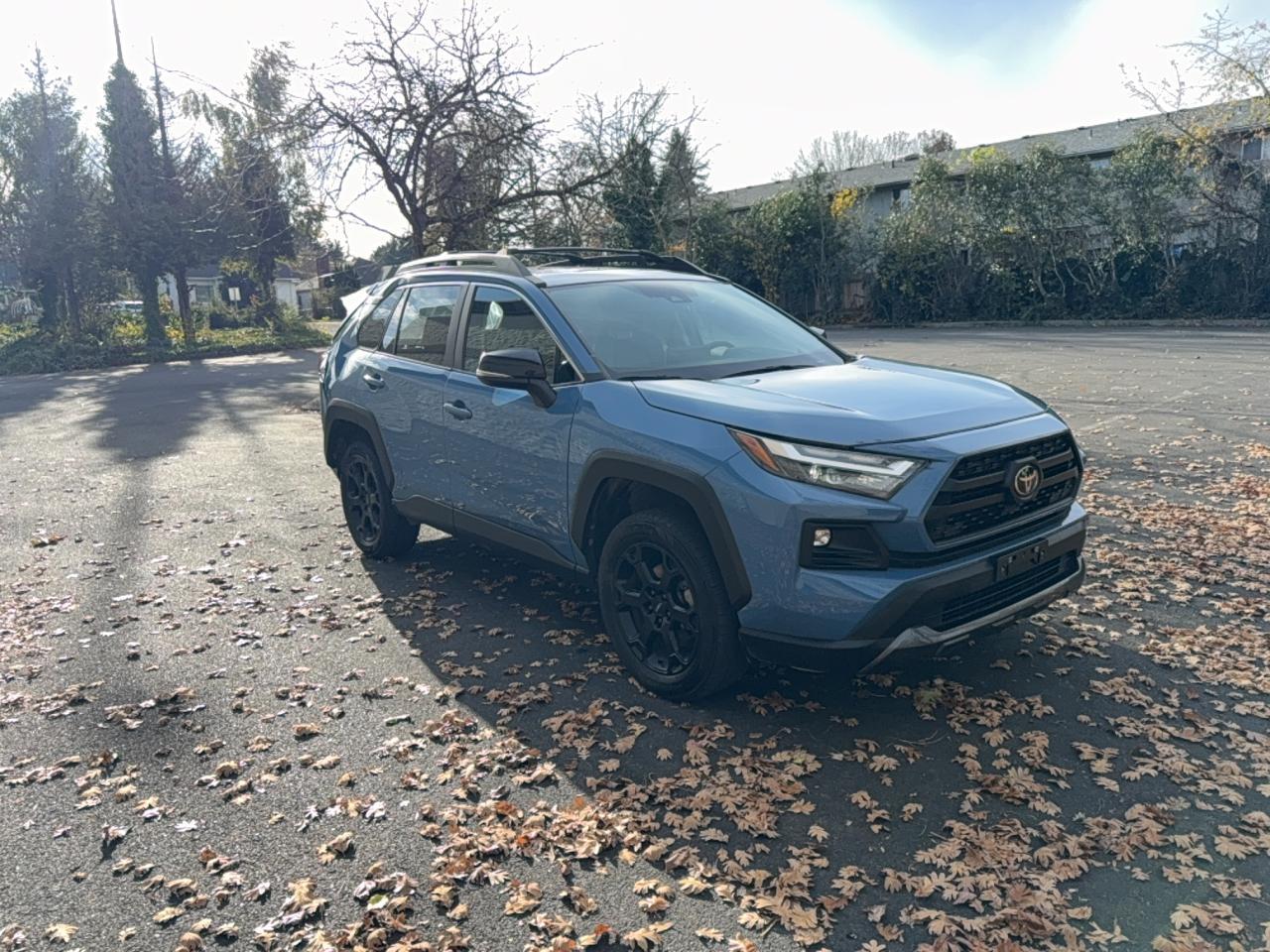2022 TOYOTA RAV4