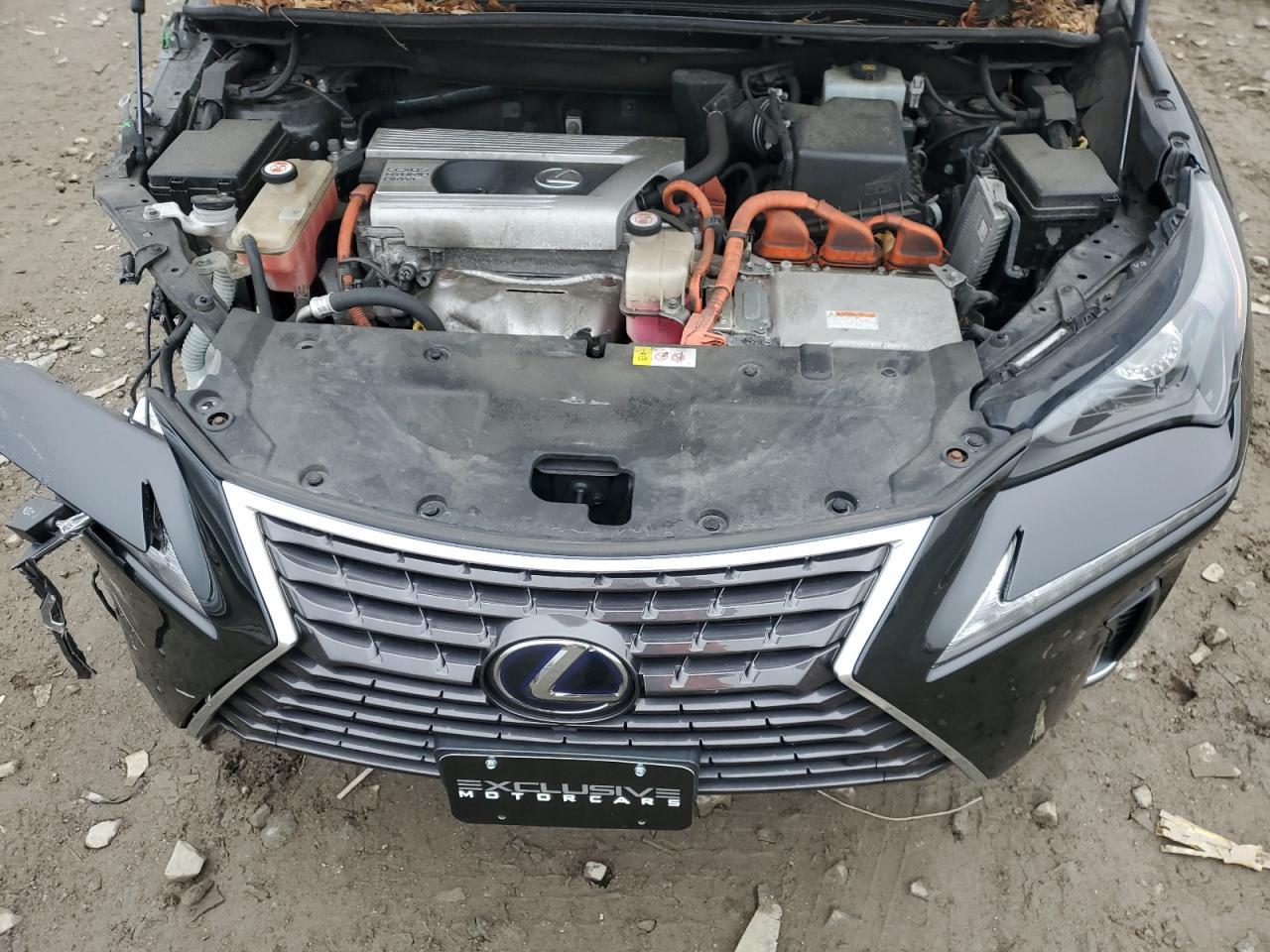 2019 LEXUS NX 300H
