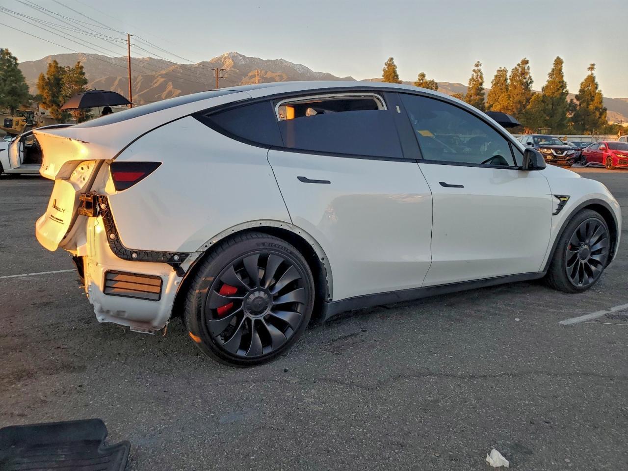 2023 TESLA MODEL Y