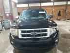 2009 FORD ESCAPE