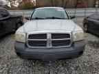 2005 DODGE Dakota