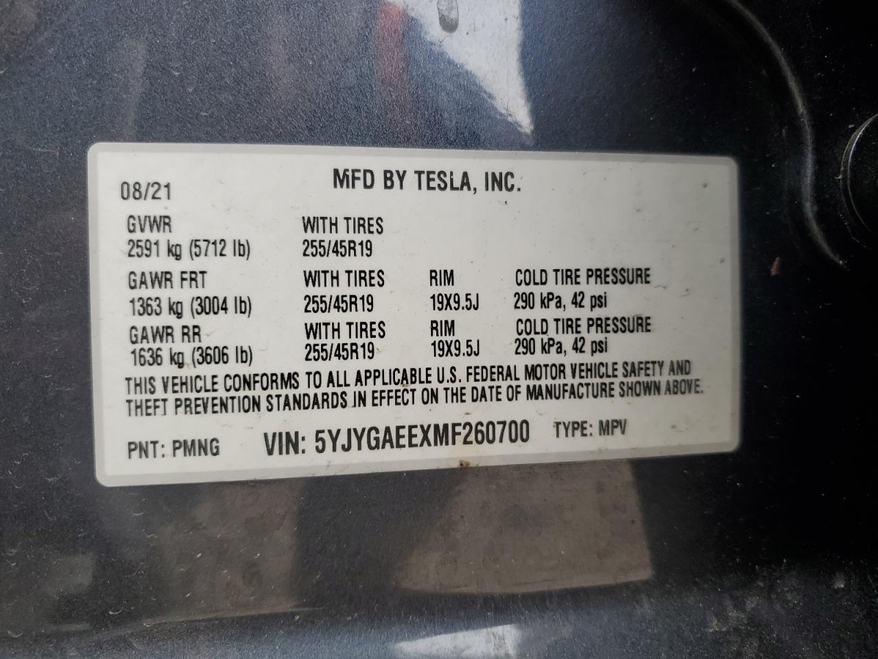 2021 TESLA MODEL Y