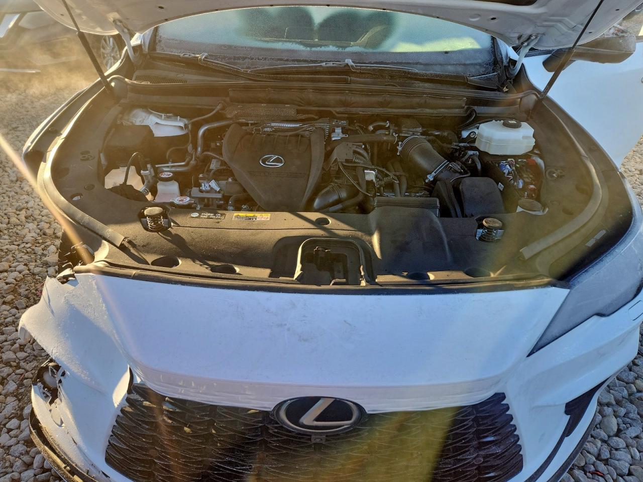 2023 LEXUS RX 500H