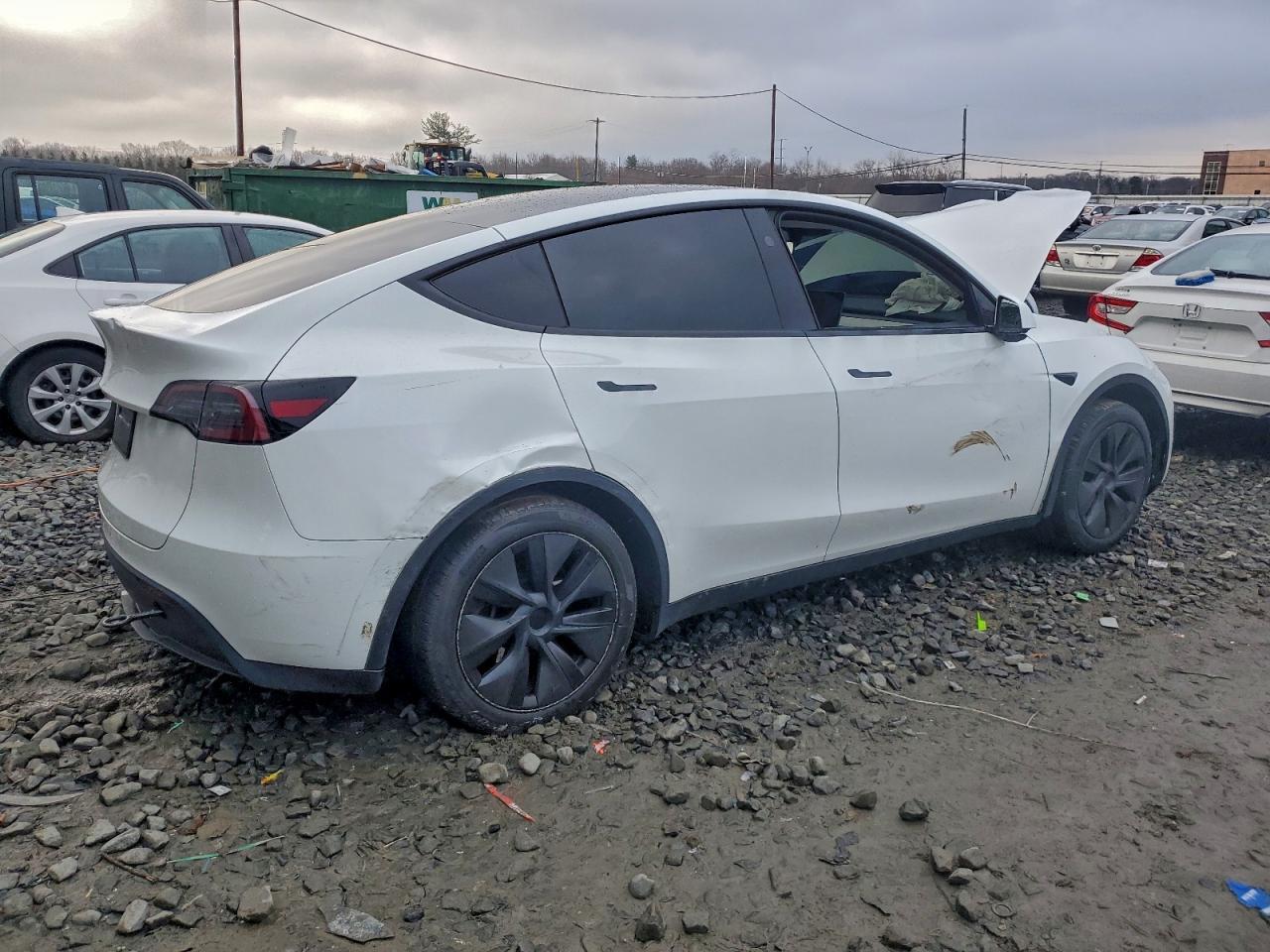 2025 TESLA MODEL Y
