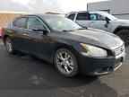 2014 NISSAN Maxima