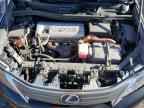 2010 LEXUS HS 250h