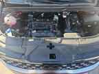 2025 KIA Carnival