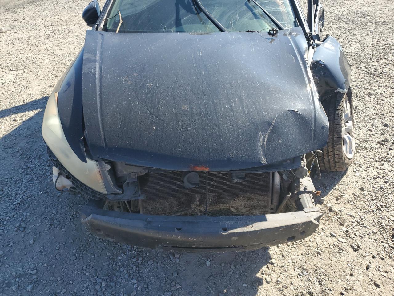 2009 HONDA ACCORD
