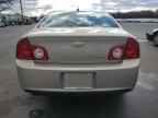 2010 CHEVROLET MALIBU