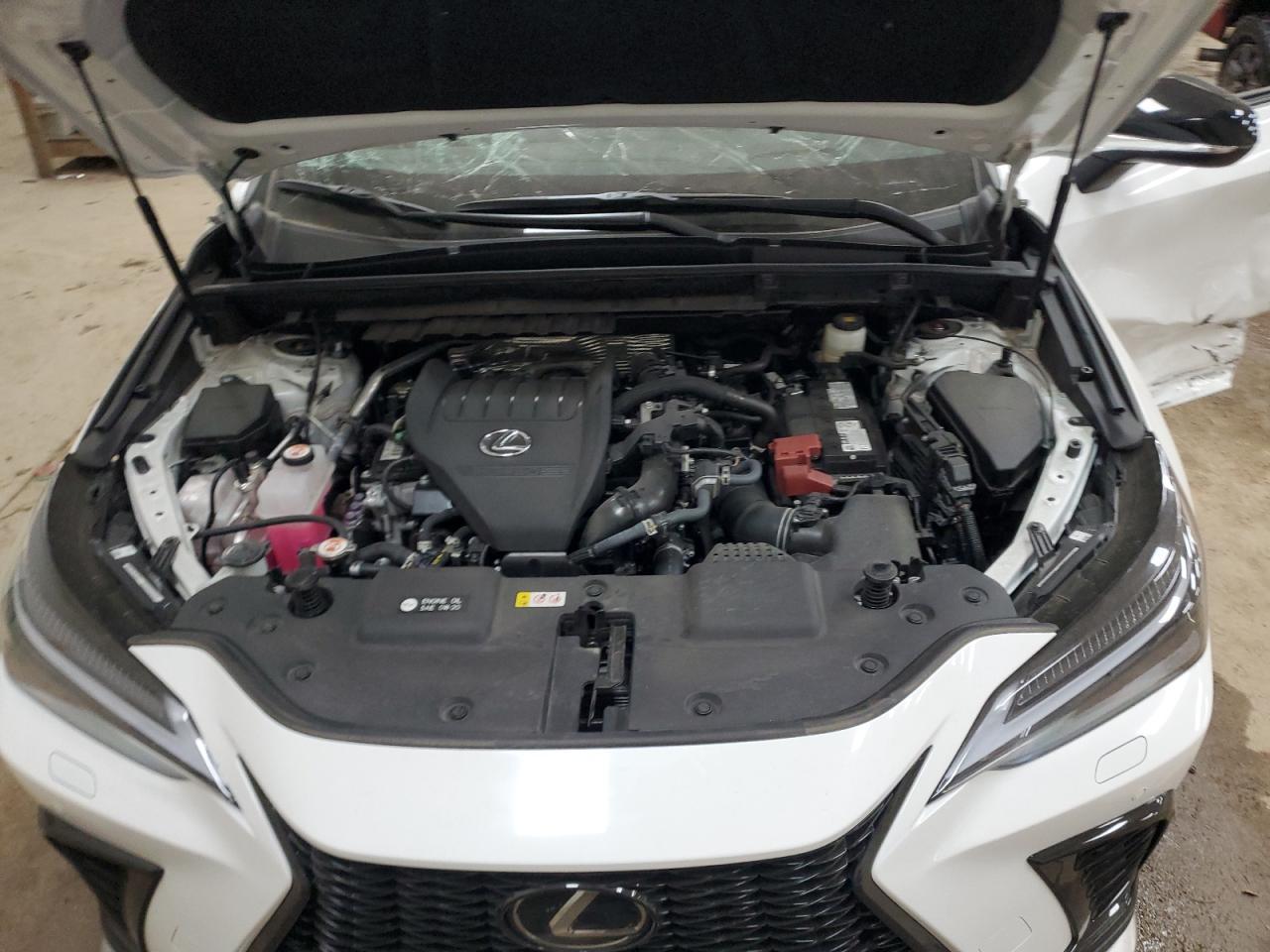 2025 LEXUS NX 350