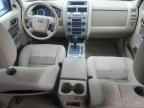 2009 FORD ESCAPE
