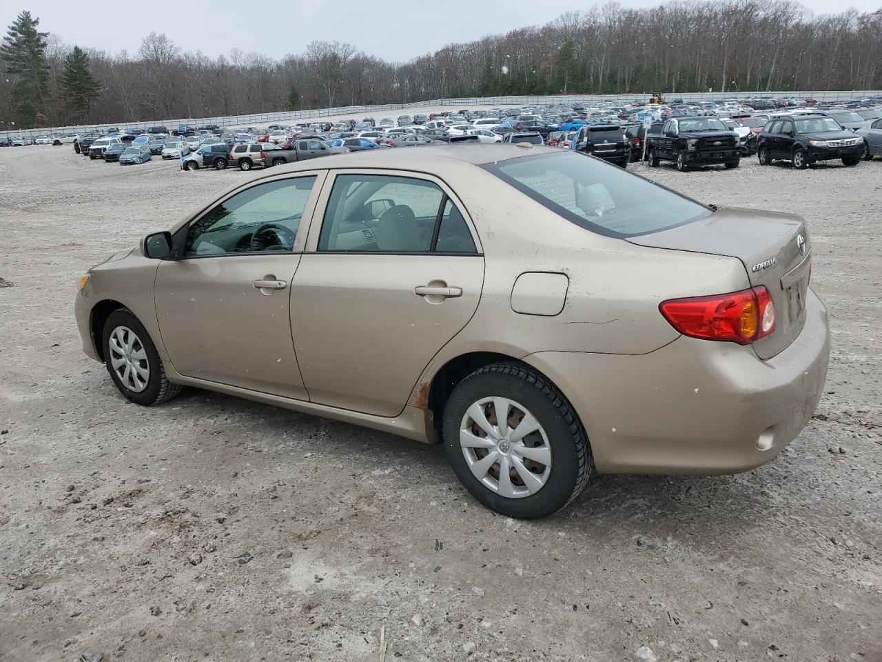 2010 TOYOTA COROLLA