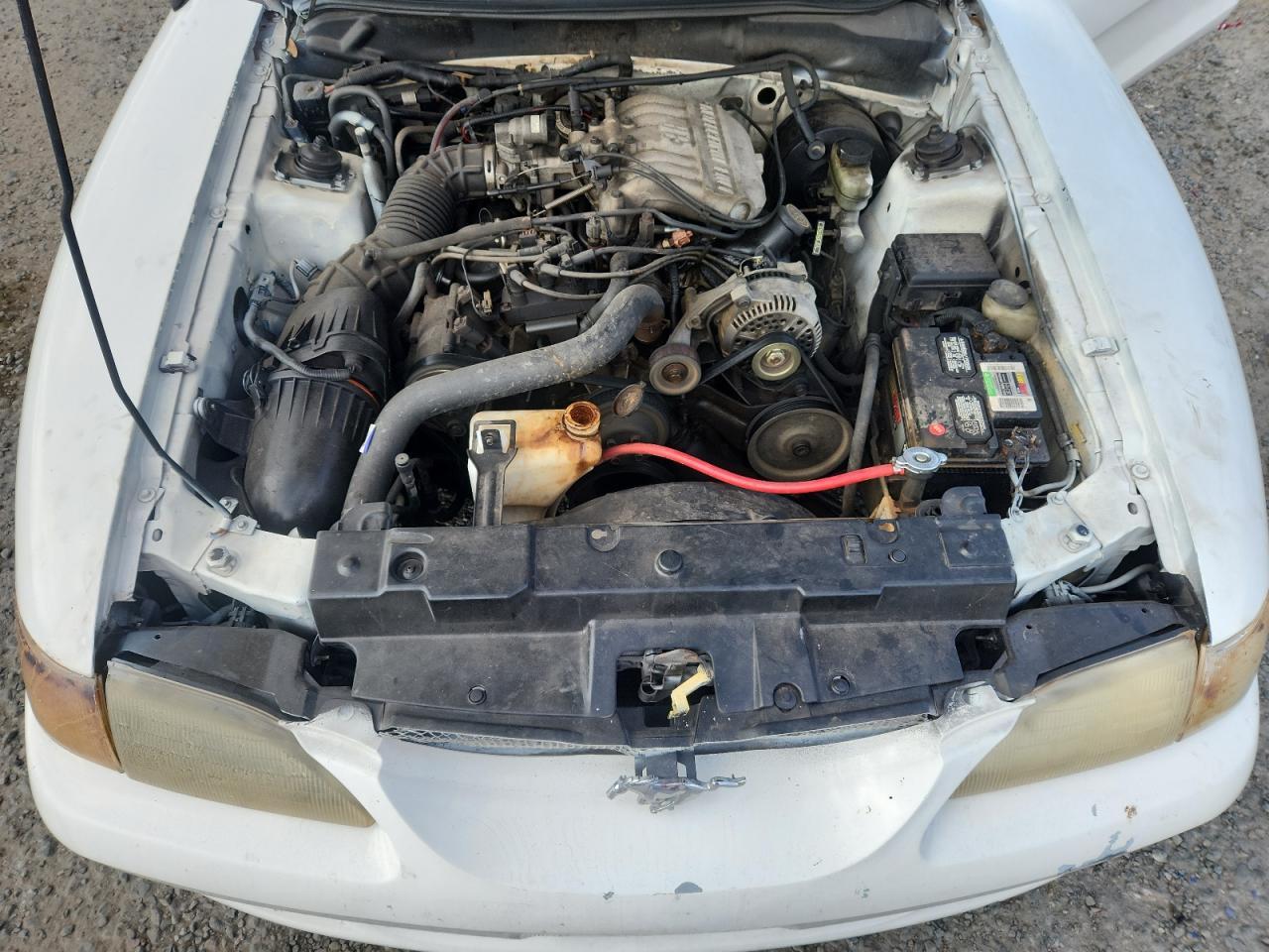 1998 FORD MUSTANG