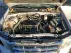 2009 FORD ESCAPE