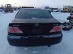 2004 LEXUS ES 330