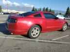 2013 FORD MUSTANG