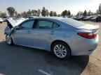 2014 LEXUS ES 300H
