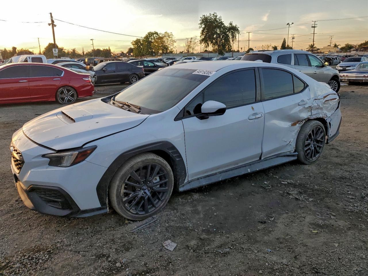 2023 SUBARU WRX