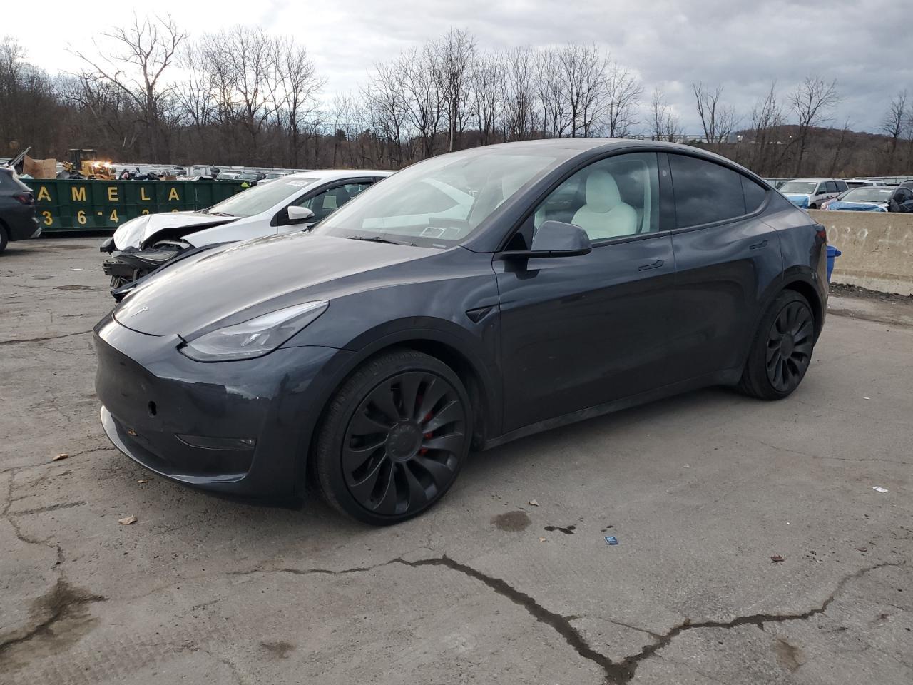 2025 TESLA MODEL Y