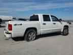 2006 DODGE Dakota
