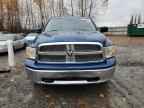 2009 DODGE RAM 1500