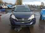 2010 HONDA CR-V