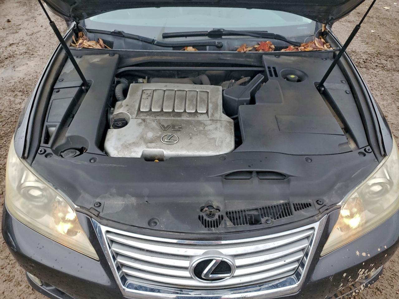 2010 LEXUS ES 350