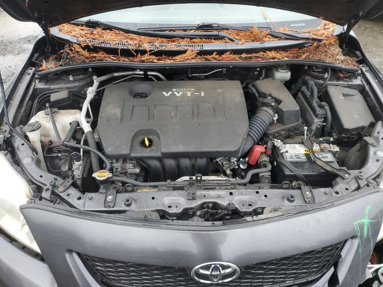 2009 TOYOTA COROLLA