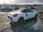 2001 TOYOTA Mr2