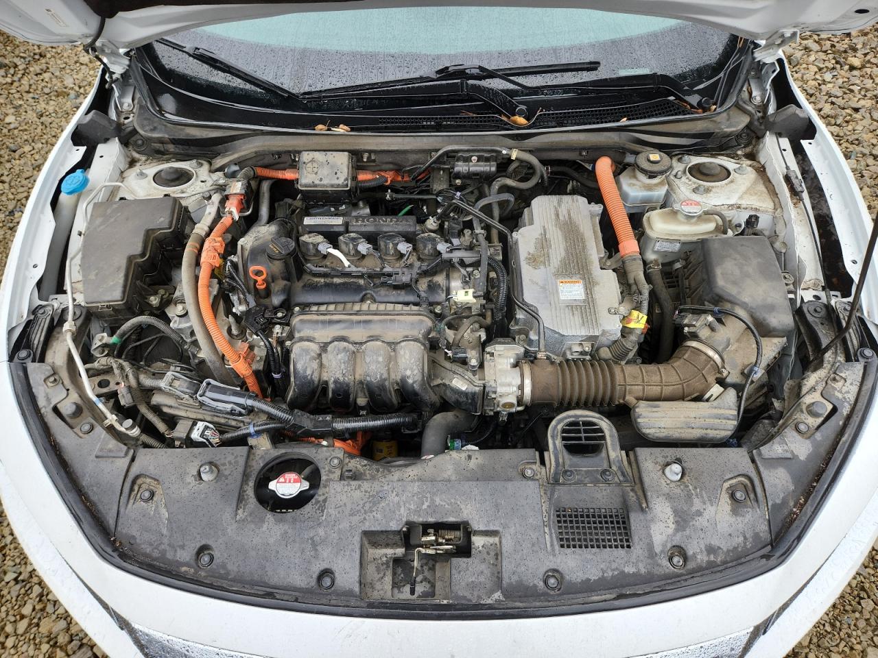 2020 HONDA Insight