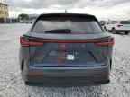2025 LEXUS NX 250