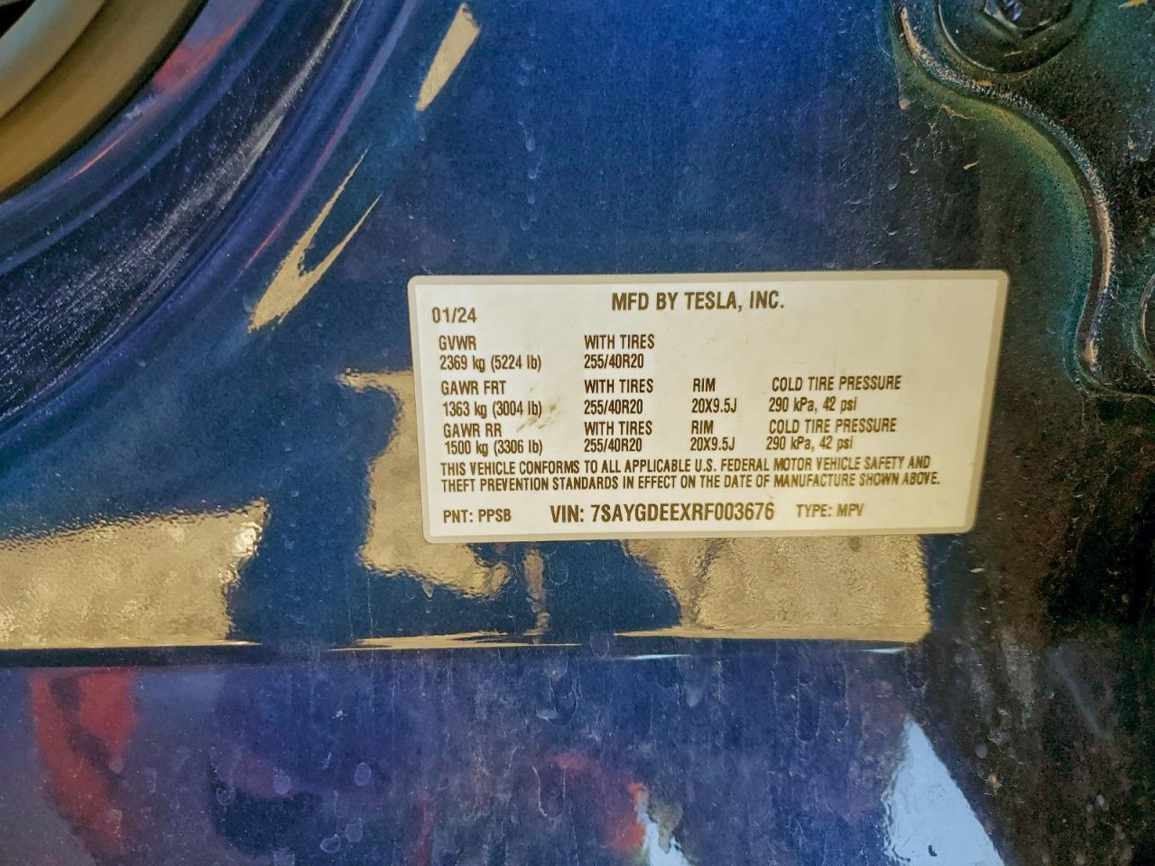 2024 TESLA MODEL Y