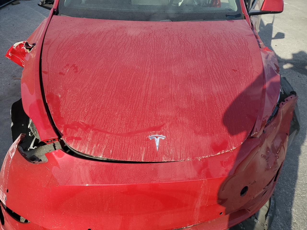 2020 TESLA MODEL Y
