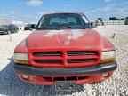 2002 DODGE Dakota