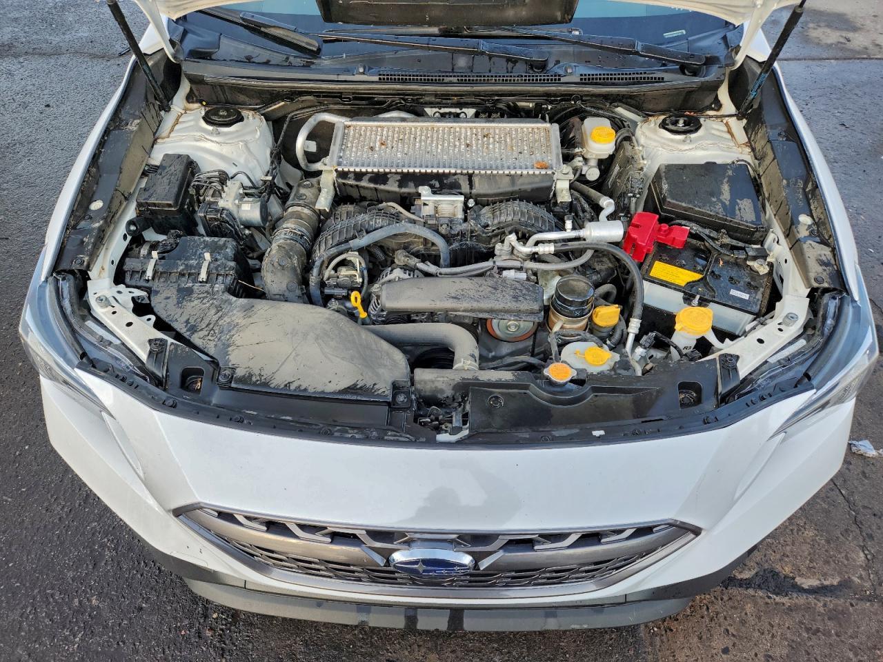 2022 SUBARU WRX