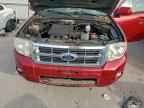 2010 FORD ESCAPE